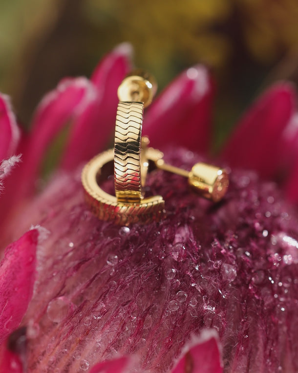 Closeup video of ENVYONE 18K Gold-Plated stainless steel hoop earrings arranged on soft flower.