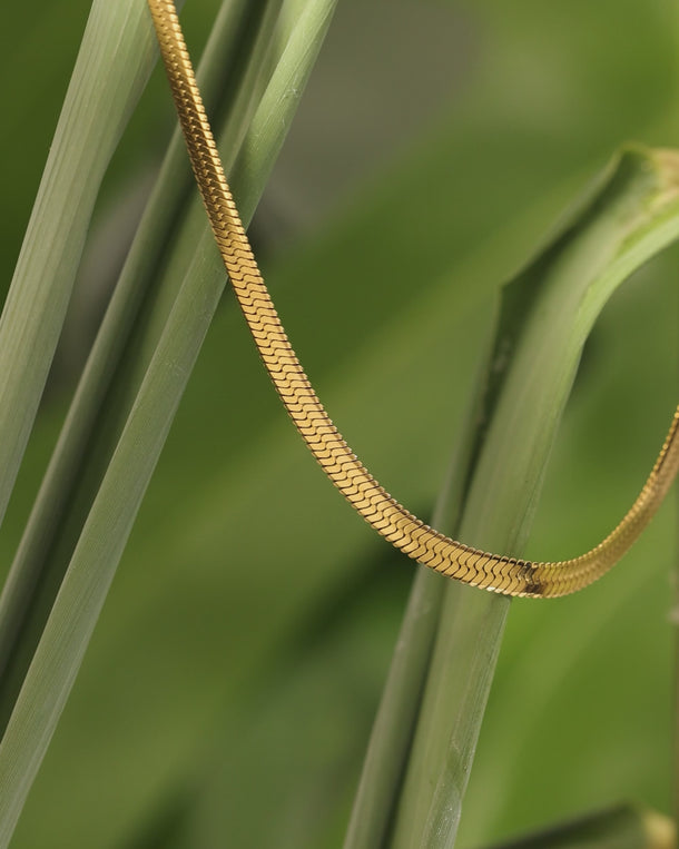 ENVYONE 18K Gold Plated herringbone necklace featuring a smooth flat chain displayed against natural green foliage.