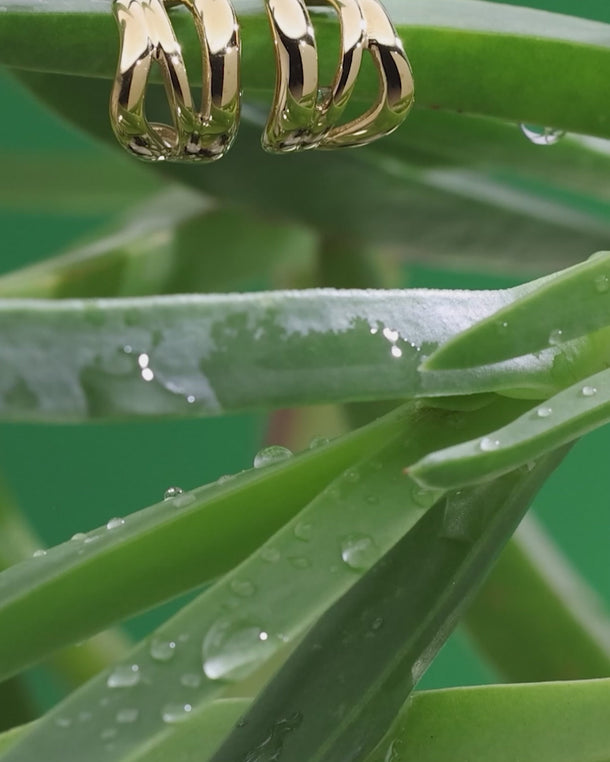 Video of ENVYONE 18K Gold Plated stainless steel sculptural hoop earrings displayed on a green tropical leaf.