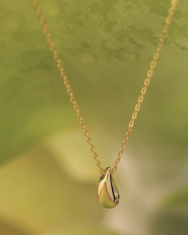 ENVYONE 18K Gold Plated 925 Sterling Silver teardrop pendant necklace showcased on oversized green foliage in a close-up video.