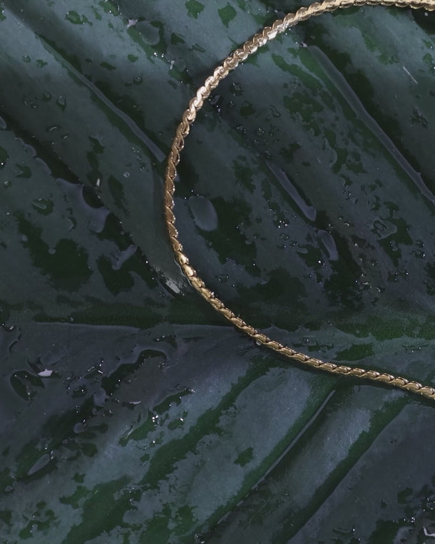 Closeup of an ENVYONE 18K Gold Plated fine chain necklace displayed on wet dark green botanical leaves.