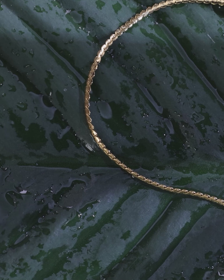Closeup of an ENVYONE 18K Gold Plated fine chain necklace displayed on wet dark green botanical leaves.