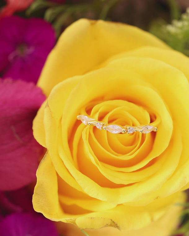Closeup video of an ENVYONE 925 Sterling Silver ring with 18K Gold Plating and brilliant white zircon stones displayed on a yellow rose.