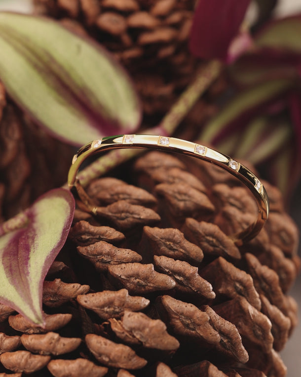 Product video of an ENVYONE 18K Gold PVD-Plated bangle with white zircon stones displayed on a pine cone.