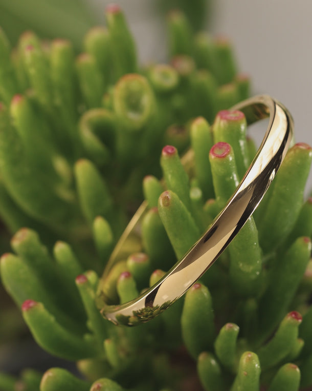 Video of an ENVYONE 18K Gold-Plated hinged bangle displayed on a green succulent plant.