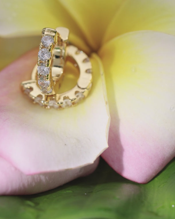 Close-up video of ENVYONE 18K Gold Plated zircon huggie earrings displayed among soft flower petals, highlighting their polished finish and sparkling stone detail.