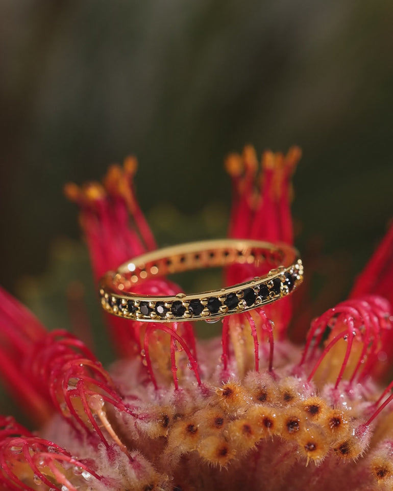 Video of an ENVYONE 18K Gold Plated eternity-style ring with black zircon stones displayed on vibrant red flowers.
