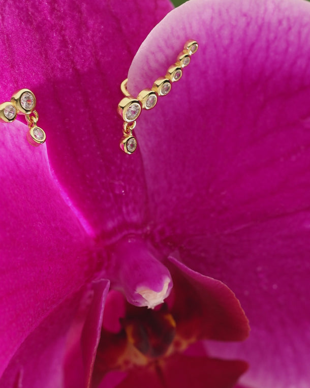 Video of ENVYONE 18K Gold Plated 925 Sterling Silver ear climber earrings with brilliant zircon stones styled on a vibrant pink orchid