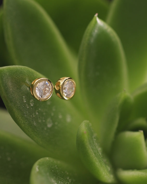 Video of ENVYONE 18K Gold-Plated 925 sterling silver stud earrings with brilliant round zircon stones, styled on a green plant for a natural jewellery display.