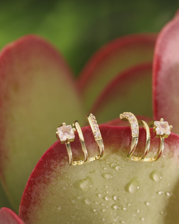 Video of ENVYONE 18K Gold-Plated earrings showcased on plants, featuring square-cut zircon stones and sparkling pavé zircon detailing.