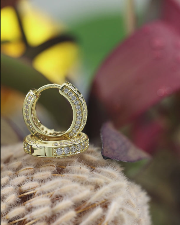 Video featuring ENVYONE 18K Gold Plated huggie hoop earrings with sparkling zircon stones, styled among rich burgundy flower petals.