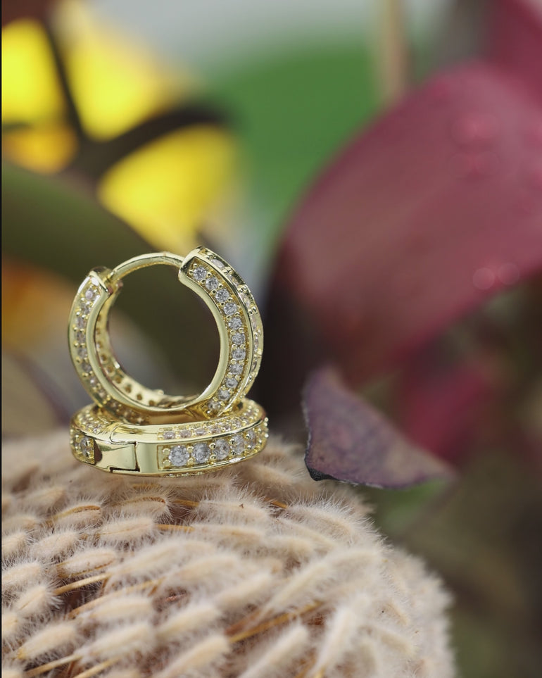 Video featuring ENVYONE 18K Gold Plated huggie hoop earrings with sparkling zircon stones, styled among rich burgundy flower petals.
